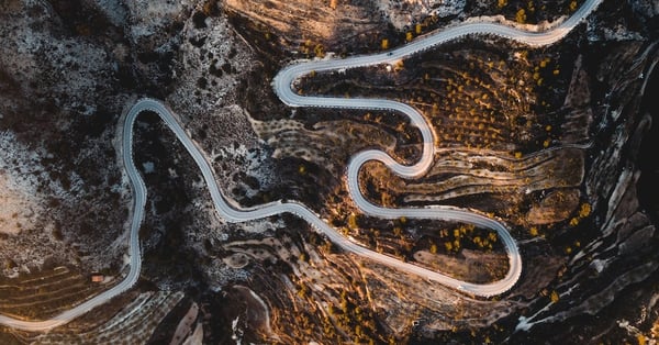 The Pandemic Marketing Series:  Riding the rollercoaster