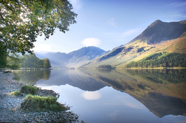 The Trout Hotel Appoints Digital Visitor
