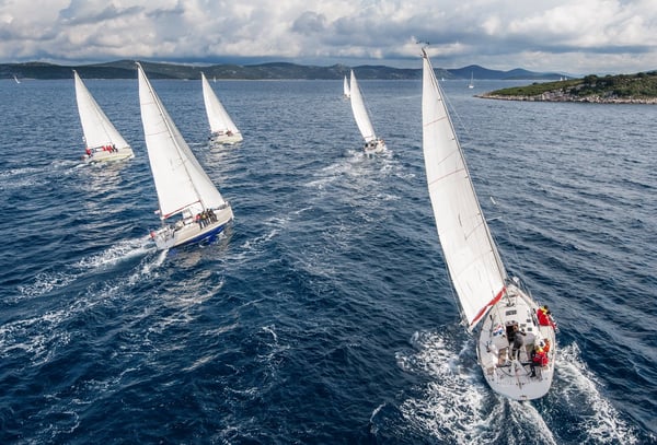 Raring to go! What should your tourism business be doing right now?