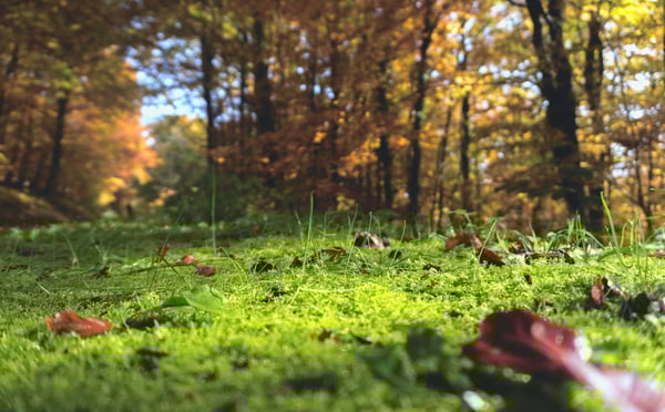 Hotel Marketing Inspiration for Autumn Success