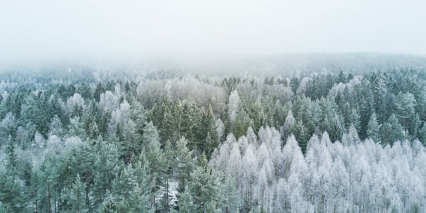 5 Tactics for Securing Winter Bookings