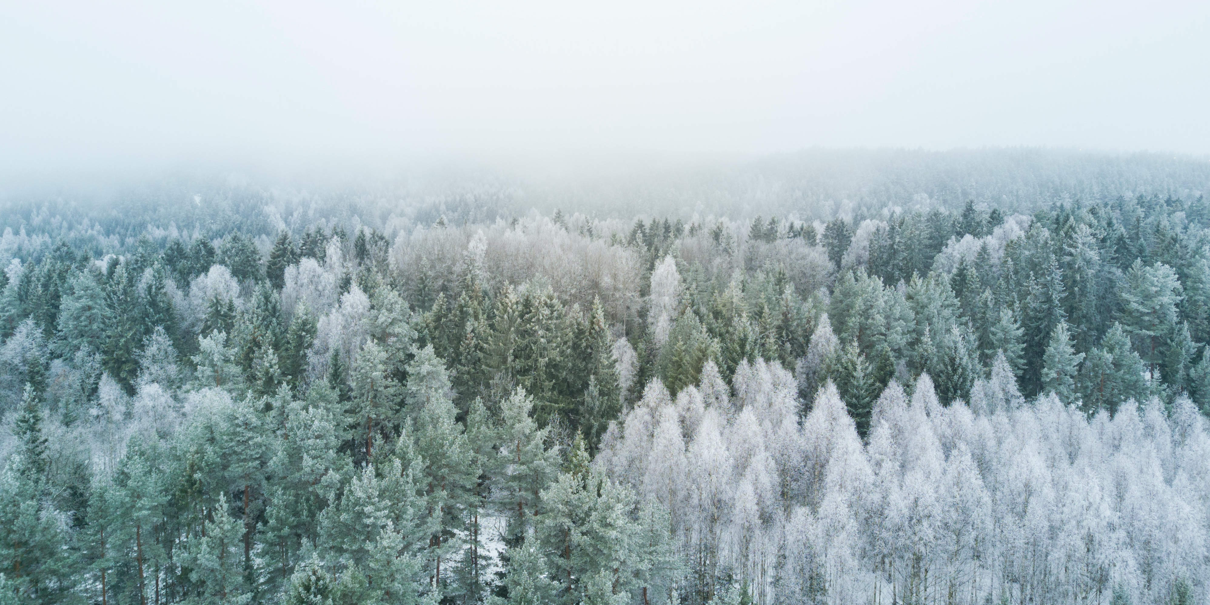 5 Tactics for Securing Winter Bookings